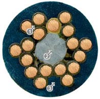 Conductor and core