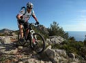 Suspension forks